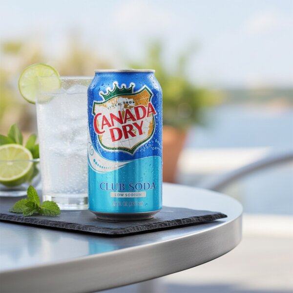 Canada Dry Club Soda 355ml Dose USA Import