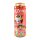 Arizona Kiwi Strawberry Fruchtsaftgetränk 650 ml – Erfrischender Mix