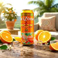 Arizona Orangeade Fruchtsaft Cocktail 650 ml –...